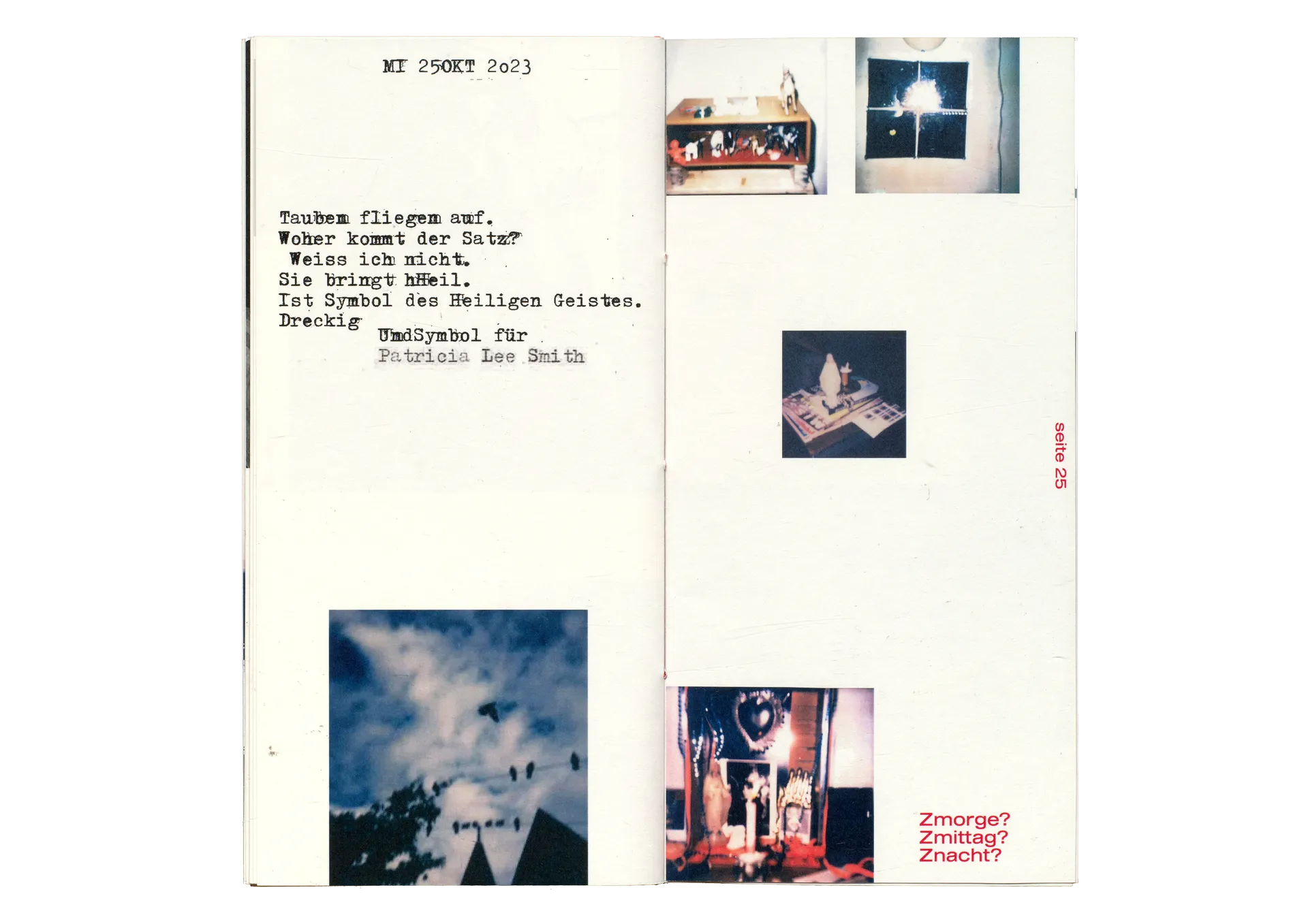 Patti Smith Project 12