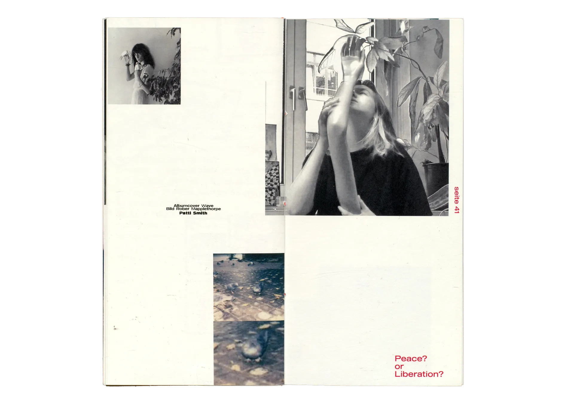 Patti Smith Project 20